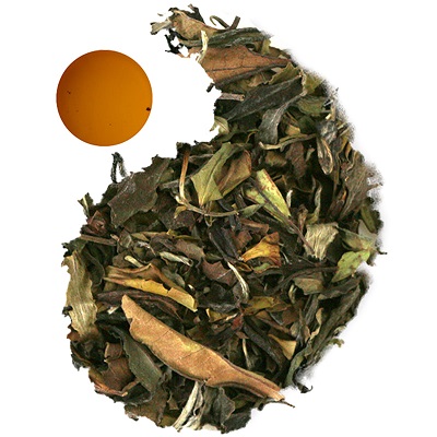 grand planter organic Bai Mutan tea