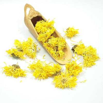 Golden chrysanthemum flower from huangshan